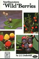 Northwestern Wild Berries