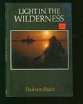 Light In The Wilderness