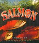 The Life Cycle of a Salmon