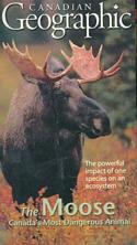 Moose: Canada�s Most Dangerous Animal (VHS Video)