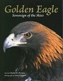 Golden Eagle: Sovereign of the Skies