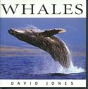 Whales