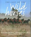 Last of the Wild Horses