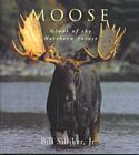 Moose: Giant of the Northern Forest