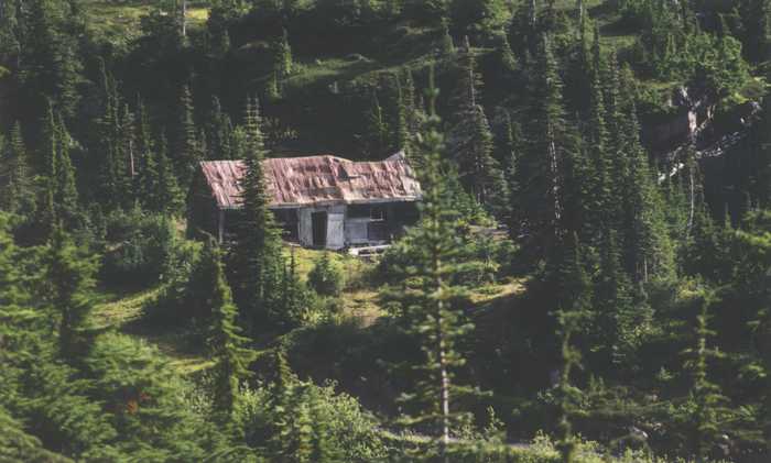 aerial view of building in forest
