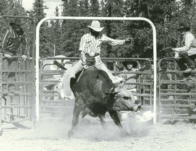 bull riding 3