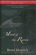 Mind of the Raven