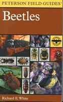 A Field Guide to the Beetles of North America
