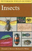 A Field Guide to Insects: America North of Mexico