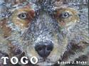 Togo
