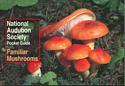 Familiar Mushrooms, Pocket Guide