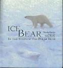 Ice Bear