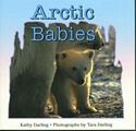 Arctic Babies