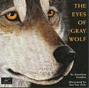 Eyes of Grey Wolf