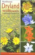 Northwest Dryland Wildflowers: Sagebrush-Ponderosa