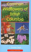 Common Wildflowers of British Columbia