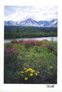 Haines Junction, Yukon