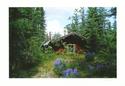 Old Cabin