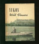 Yukon Wild Flowers