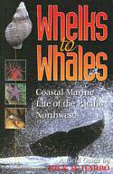 Whelks to Whales: Coastal Marine Life of the Pacific Northwest
