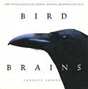 Bird Brains