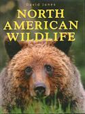 North American Wildlife