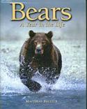 Bears A Year In The Life