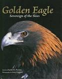 Golden Eagle: Sovereign of the Skies