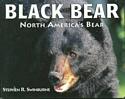 North American Black Bear
