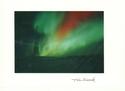 Northern Lights #1