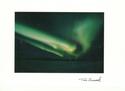 Northern Lights