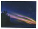Aurora Borealis over Pine Lake