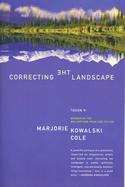 Correcting the Landscape