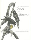 In the Company of Crows and Ravens