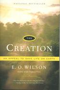Creation