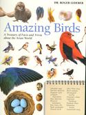 Amazing Birds