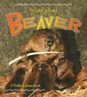 The Life Cycle of a Beaver