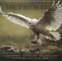 Arctic Wings: Birds of the Arctic National Wildlife Refuge 
