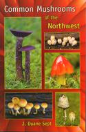 Common Mushrooms of the Northwest