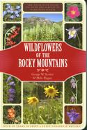 Wildflowers of the Rocky Mountains