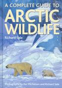 A Complete Guide to Arctic Wildlife