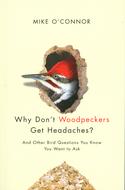 Why Don't Woodpeckers Get Headaches? And Other Bird Questions You Know You Want to Ask