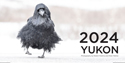 2024 Yukon Panoramic Calendar