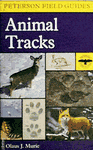 Animal Tracks (Peterson Field Guide)