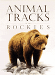 Animal Tracks of the Rockies