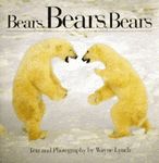 Bears, Bears, Bears