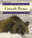 Grizzly Bears
