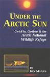 Under the Arctic Sun